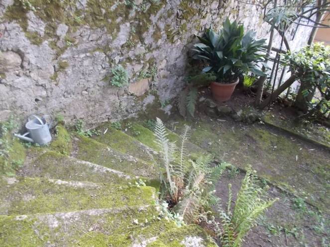 DSCN9436 (FILEminimizer)