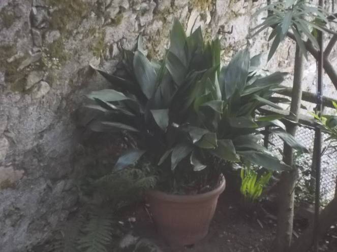 DSCN9437 (FILEminimizer)