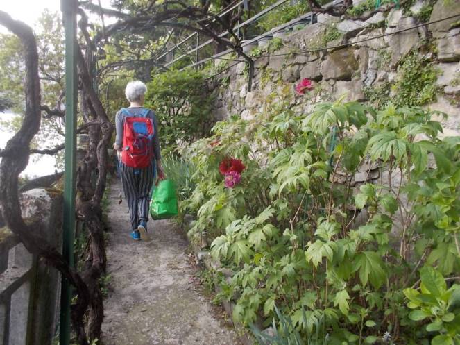 DSCN9443 (FILEminimizer)