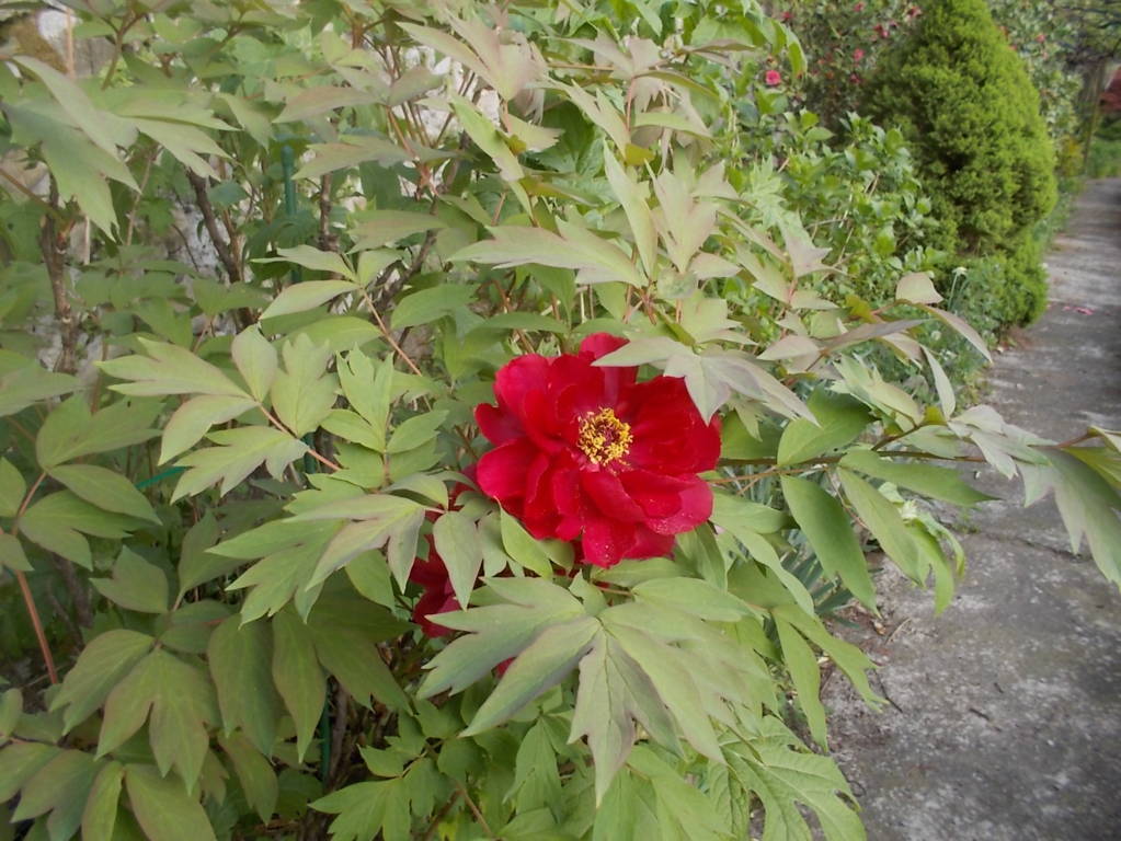 DSCN9445 (FILEminimizer)