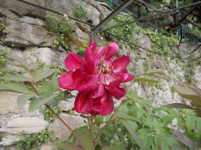 DSCN9446 (FILEminimizer)