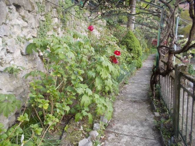 DSCN9447 (FILEminimizer)