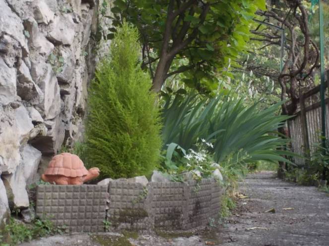 DSCN9450 (FILEminimizer)