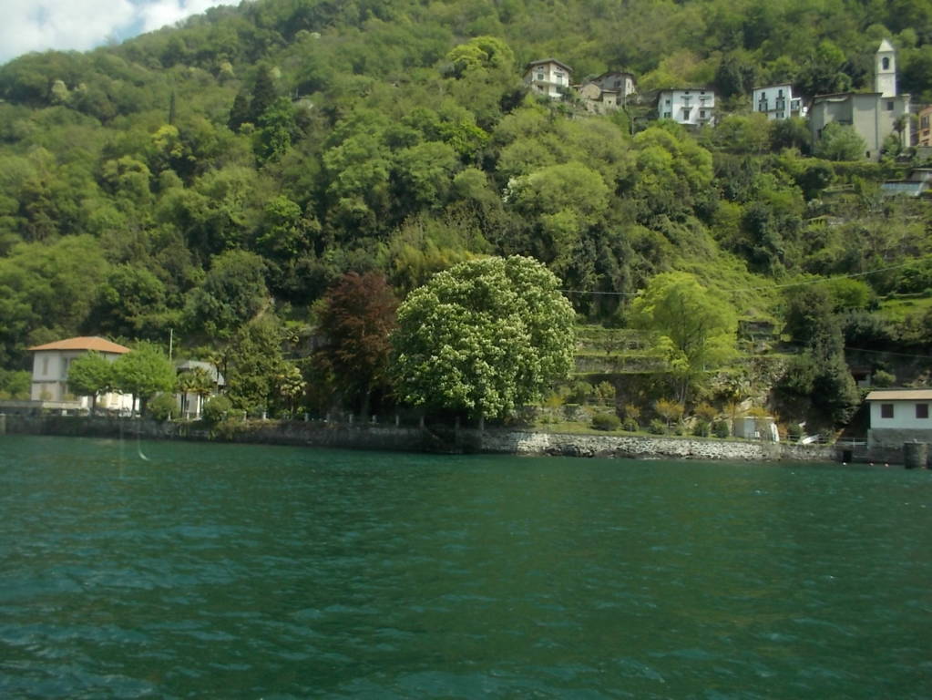 DSCN9451 (FILEminimizer)