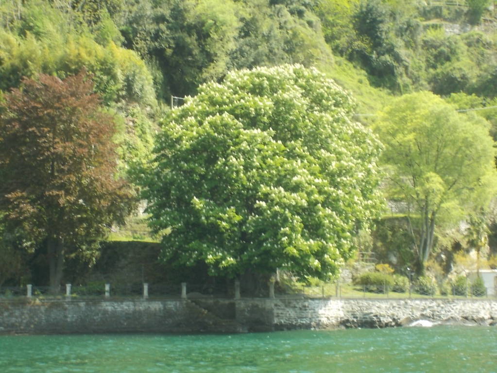 DSCN9453 (FILEminimizer)