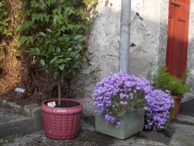 DSCN9455 (FILEminimizer)