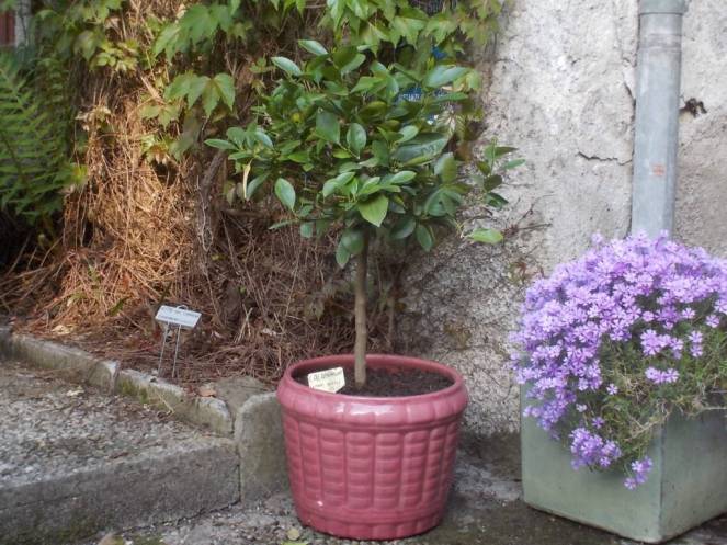 DSCN9456 (FILEminimizer)