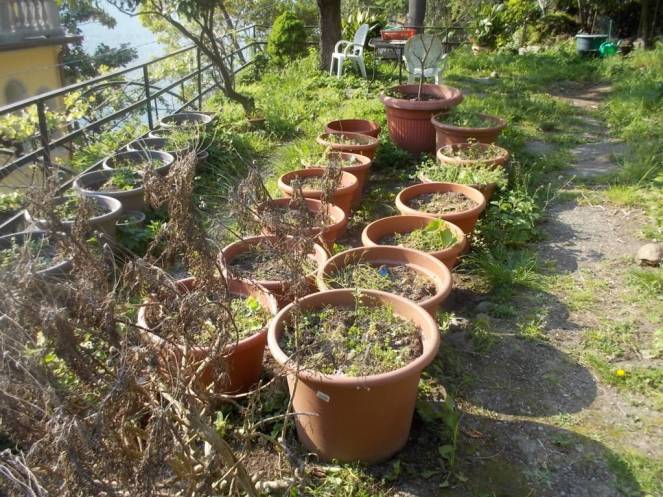 DSCN9462 (FILEminimizer)