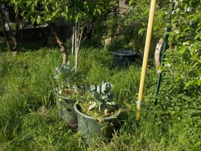 DSCN9466 (FILEminimizer)