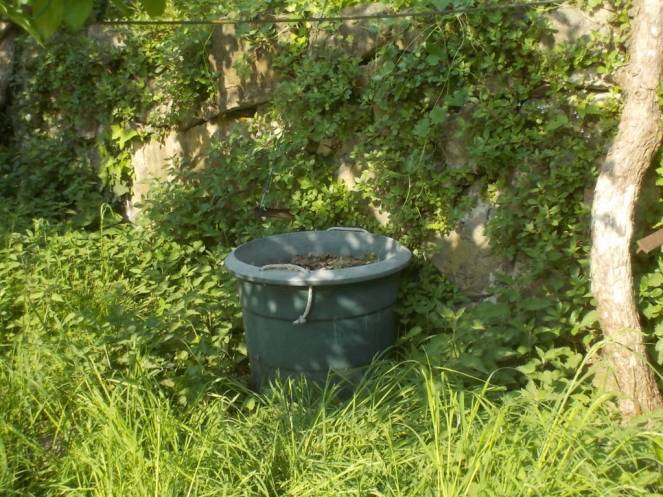 DSCN9467 (FILEminimizer)