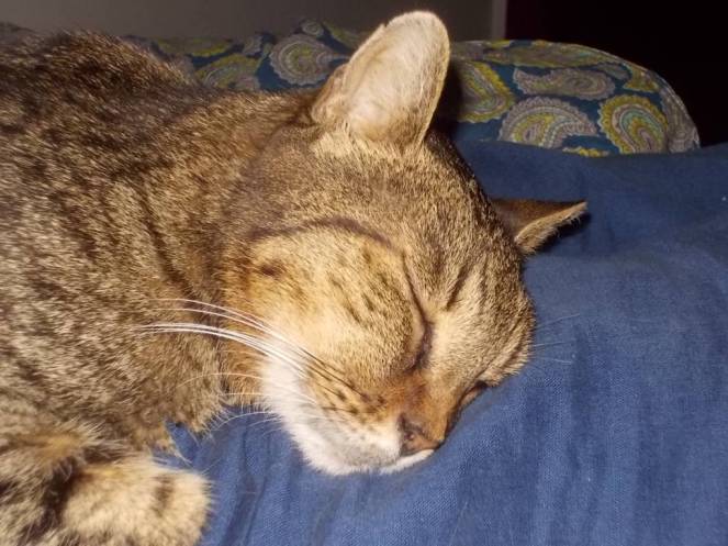 DSCN9487 (FILEminimizer)