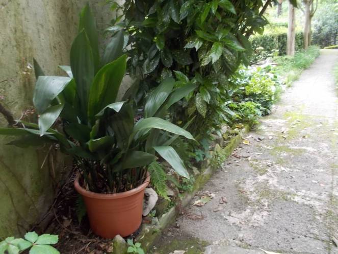 DSCN9490 (FILEminimizer)