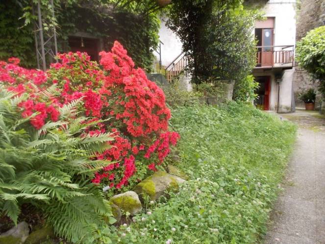 DSCN9495 (FILEminimizer)