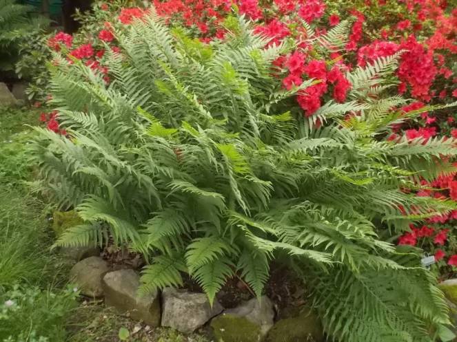 DSCN9496 (FILEminimizer)