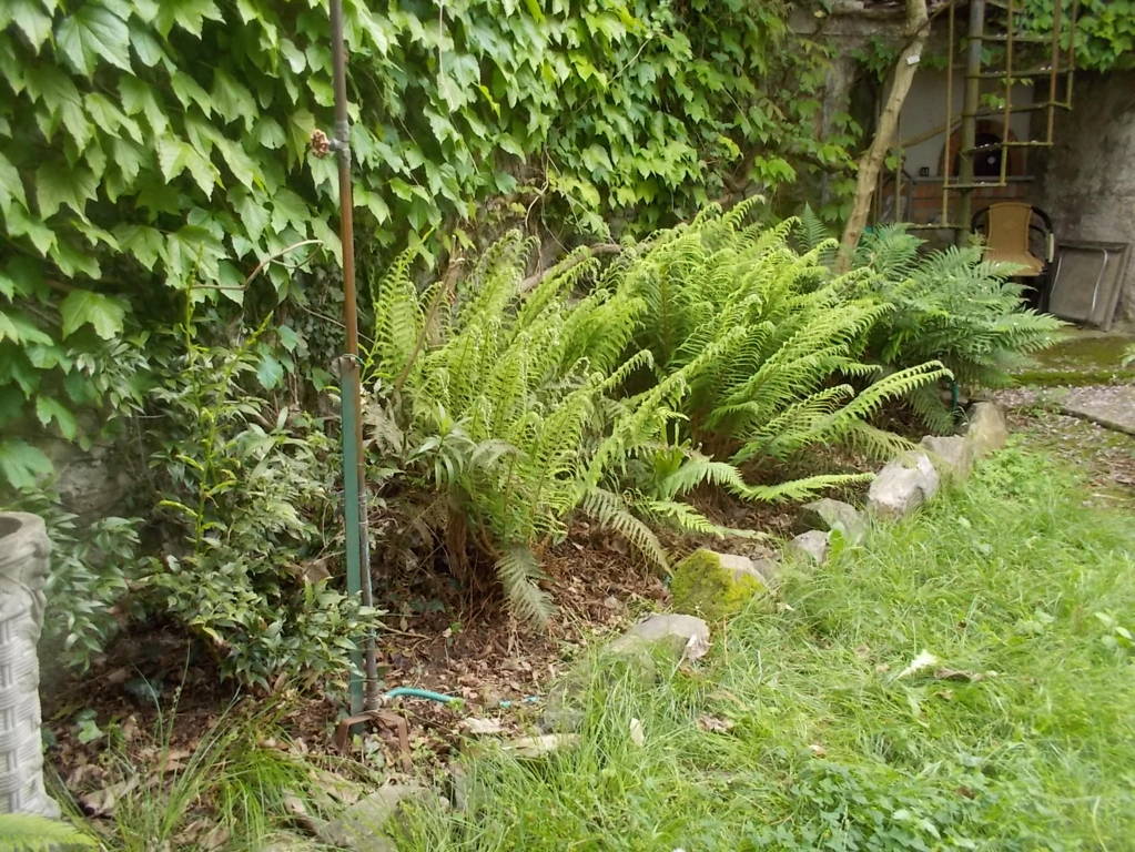 DSCN9498 (FILEminimizer)