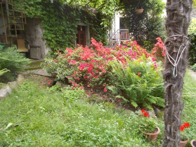 DSCN9499 (FILEminimizer)