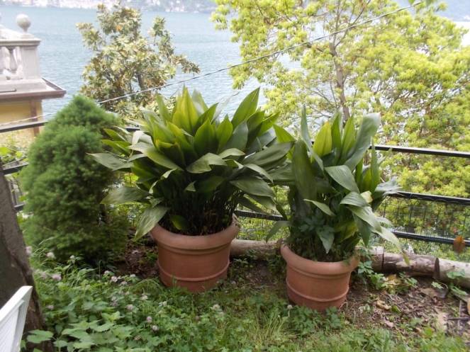 DSCN9504 (FILEminimizer)