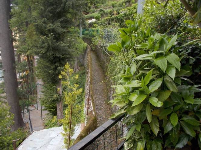 DSCN9505 (FILEminimizer)