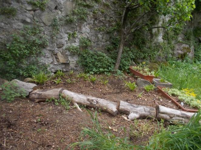 DSCN9507 (FILEminimizer)