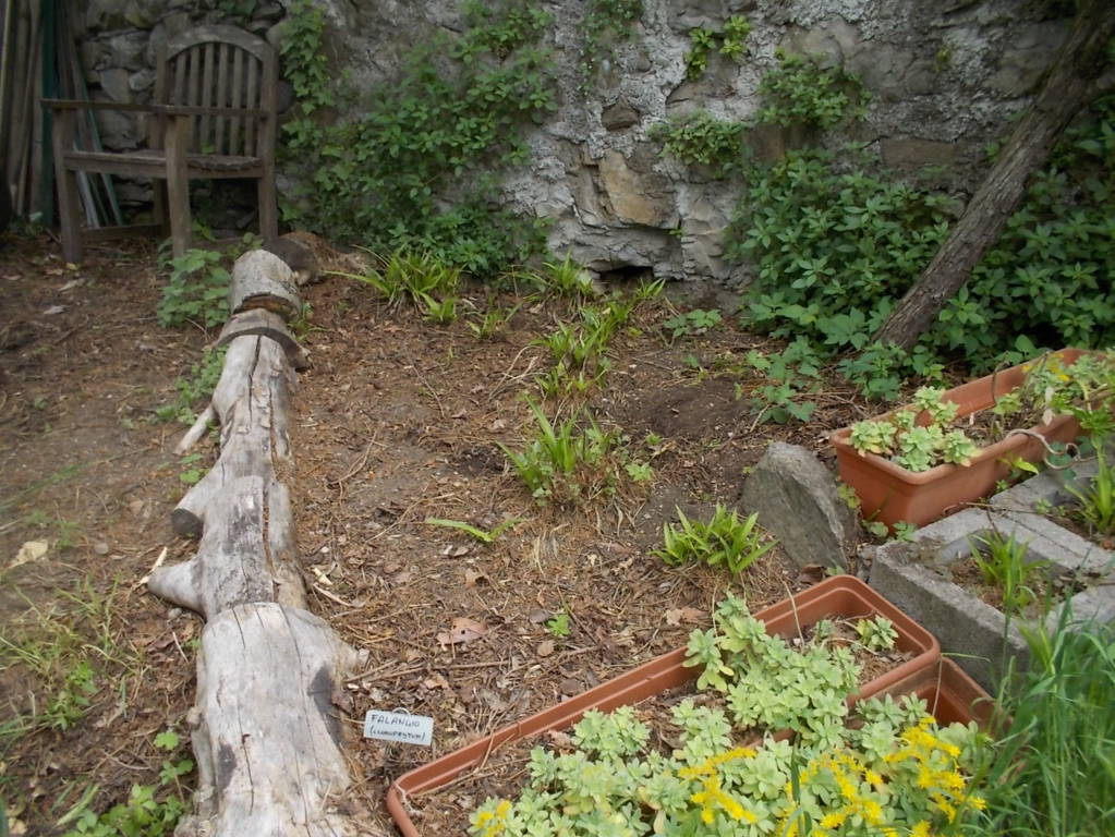 DSCN9508 (FILEminimizer)