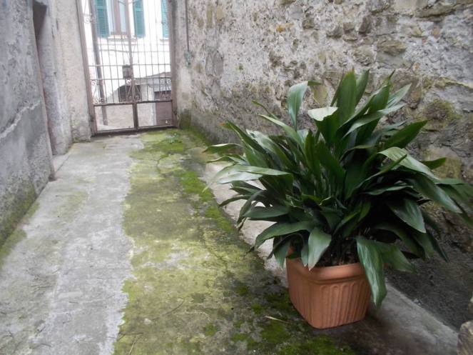 DSCN9517 (FILEminimizer)