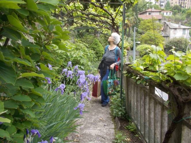 DSCN9518 (FILEminimizer)