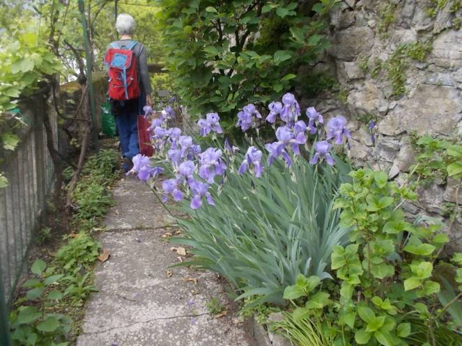 DSCN9520 (FILEminimizer)