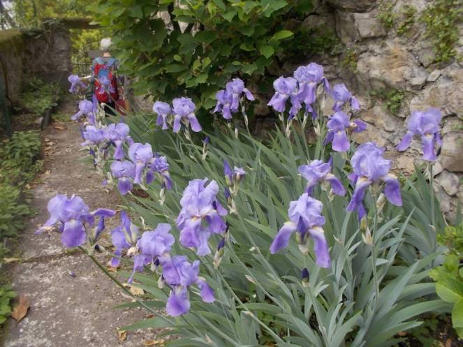 DSCN9521 (FILEminimizer)