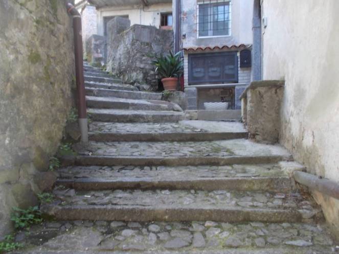 DSCN9524 (FILEminimizer)