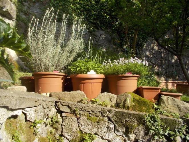 DSCN9539 (FILEminimizer)