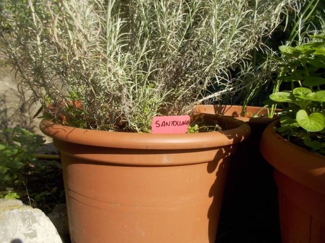 DSCN9540 (FILEminimizer)