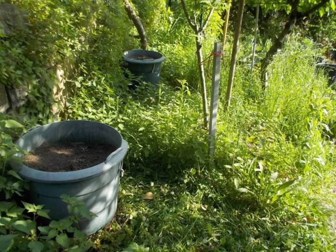 DSCN9551 (FILEminimizer)