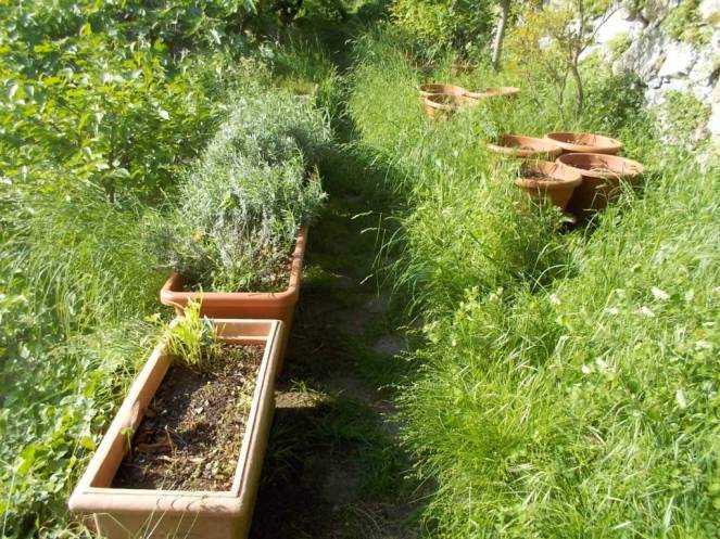 DSCN9554 (FILEminimizer)