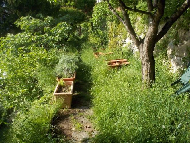 DSCN9555 (FILEminimizer)