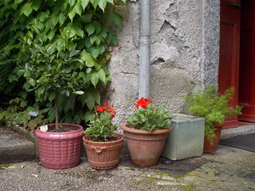 DSCN9637 (FILEminimizer)