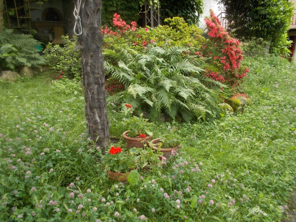 DSCN9639 (FILEminimizer)