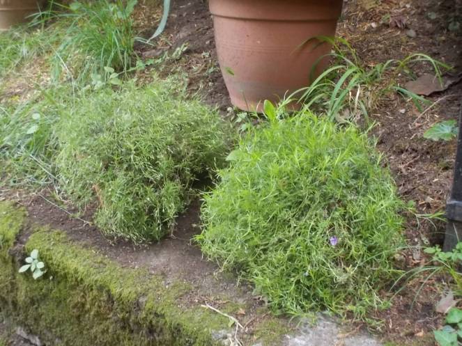 DSCN9642 (FILEminimizer)