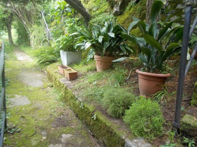 DSCN9643 (FILEminimizer)