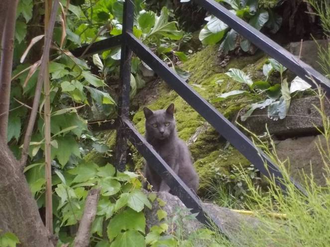 DSCN9645 (FILEminimizer)