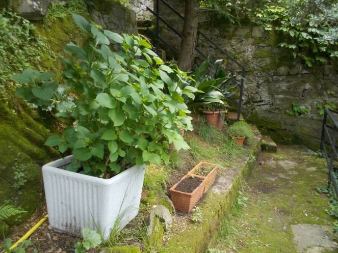 DSCN9646 (FILEminimizer)