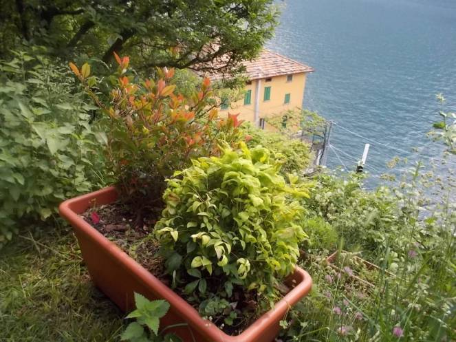 DSCN9655 (FILEminimizer)