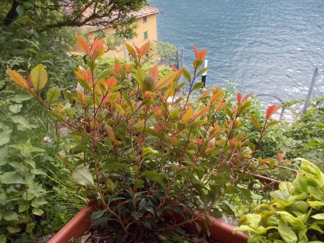 DSCN9656 (FILEminimizer)