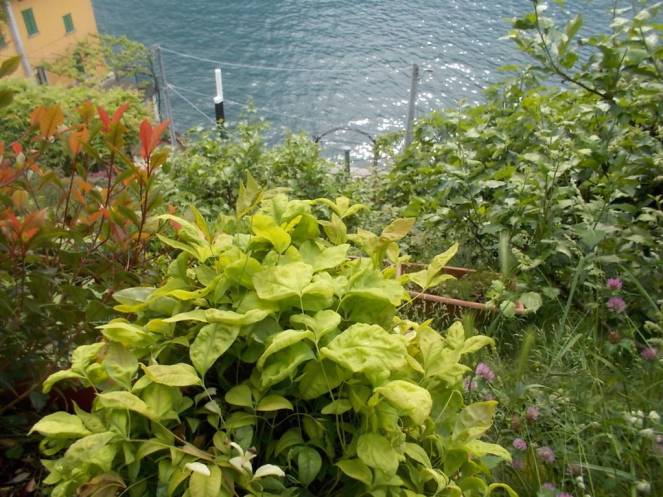 DSCN9657 (FILEminimizer)