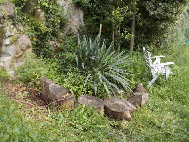 DSCN9661 (FILEminimizer)