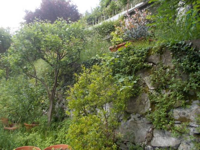 DSCN9668 (FILEminimizer)