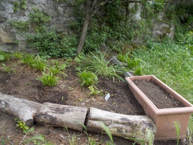 DSCN9680 (FILEminimizer)