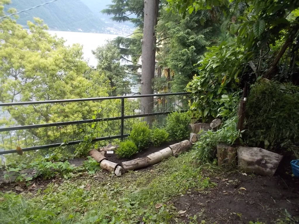 DSCN9709 (FILEminimizer)