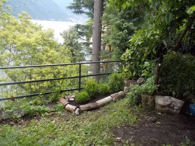 DSCN9709 (FILEminimizer)