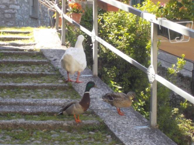 DSCN9732 (FILEminimizer)