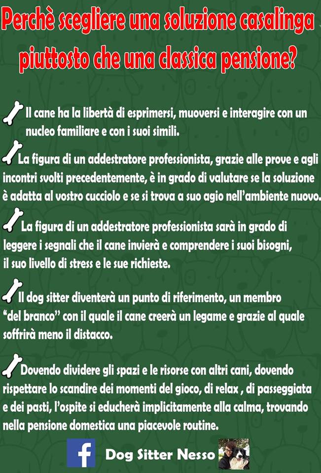 35758449_1111357839003430_2107694942120837120_n